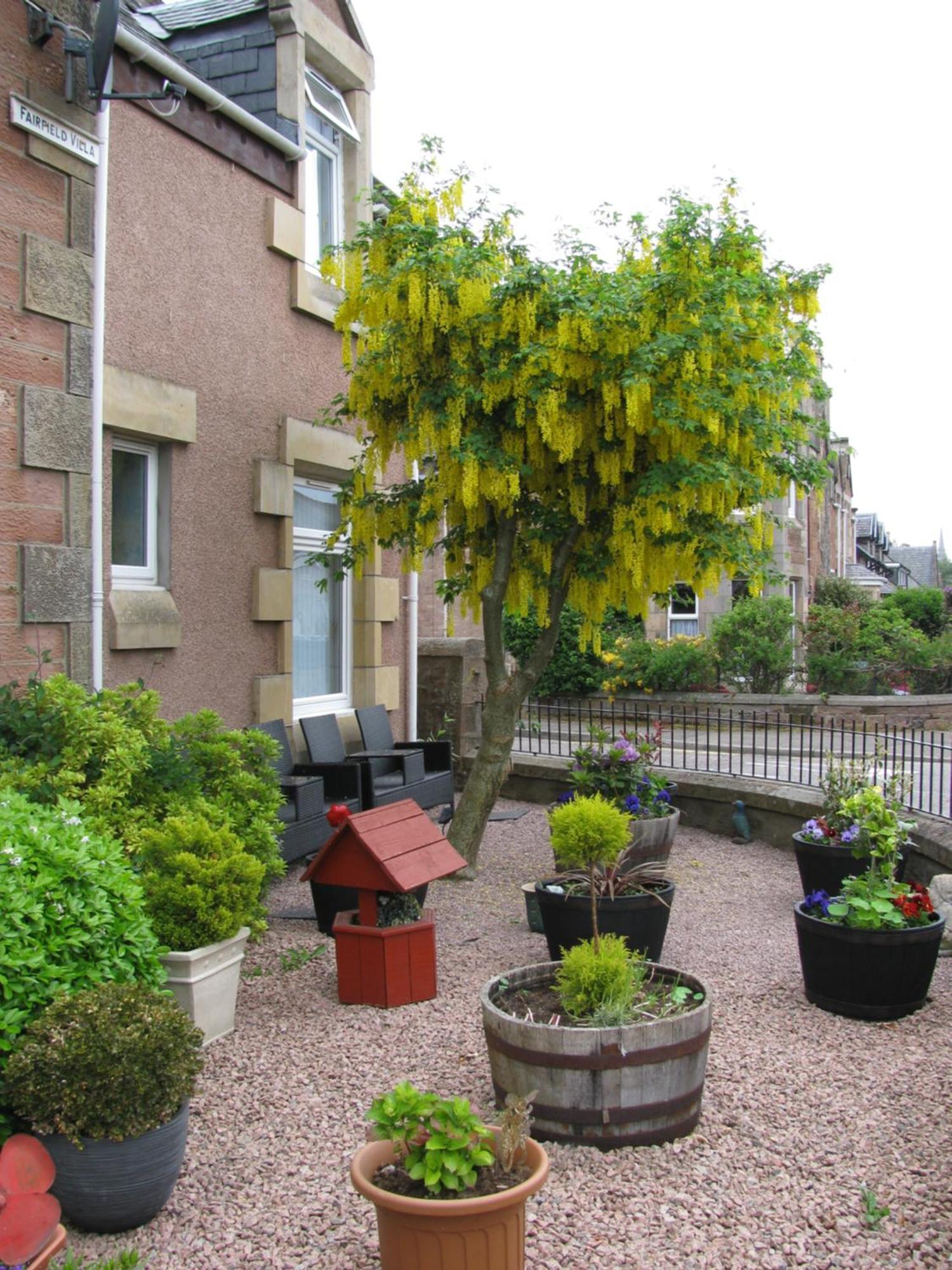 Fairfield Townhouse Guest House インヴァネス エクステリア 写真